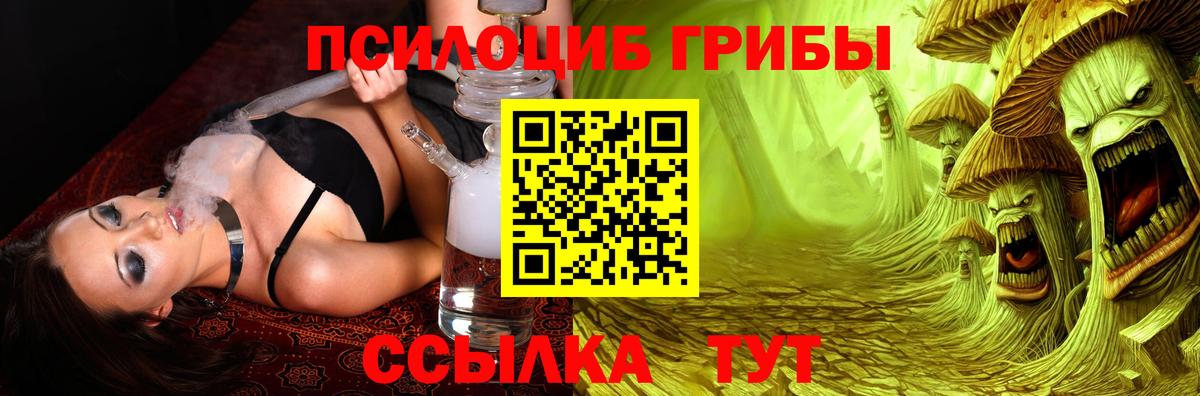 Галлюциногенные грибы Magic Shrooms  Вход с VPN  Кандалакша  Галлюциногенные грибы Psilocybe 